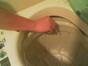 緊急企画！ カビを位相差顕微鏡で見る